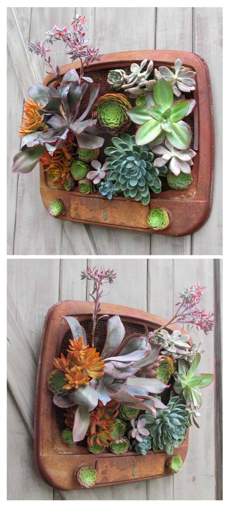 Planted Tv 4 - Garden Decor - 1001 Gardens Planted Tv 3 - Garden Decor