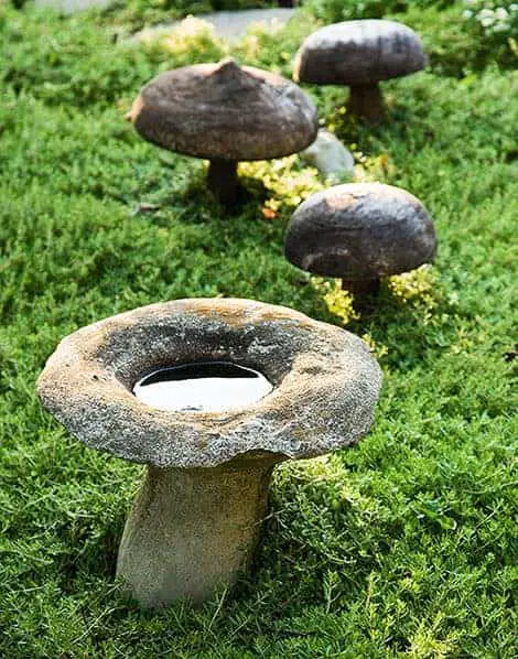 Mushroom Stones 10 - Flowers & Plants