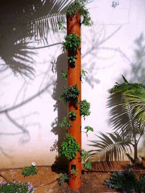 Diy : Vertical Garden