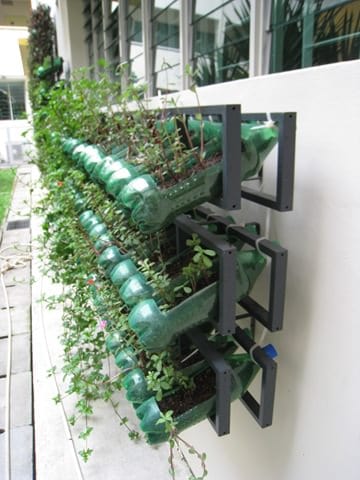 Vertical Garden from Soda Bottles • 1001 Gardens