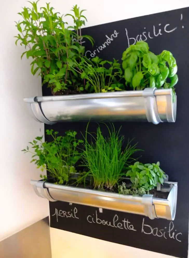 Great Indoor Herb Garden Idea 26 - Flowers & Plants