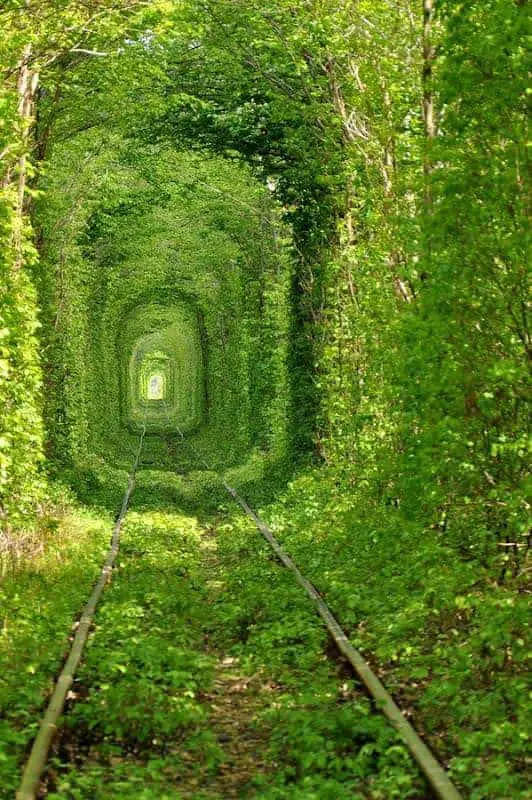 Tunnel of Love Landscape in Kleven, Ukraine