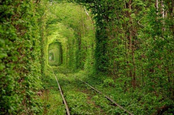 Tunnel-of-Love_5600_398