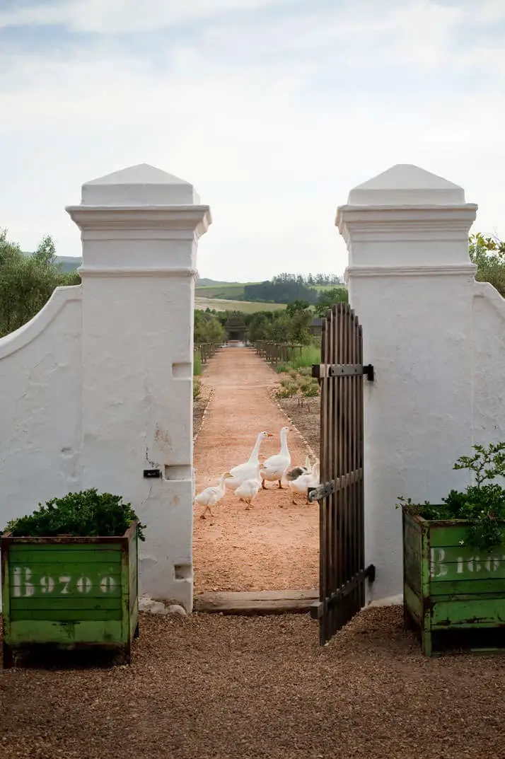 Greenhouse at Babylonstoren (South Africa) - 1001 Gardens