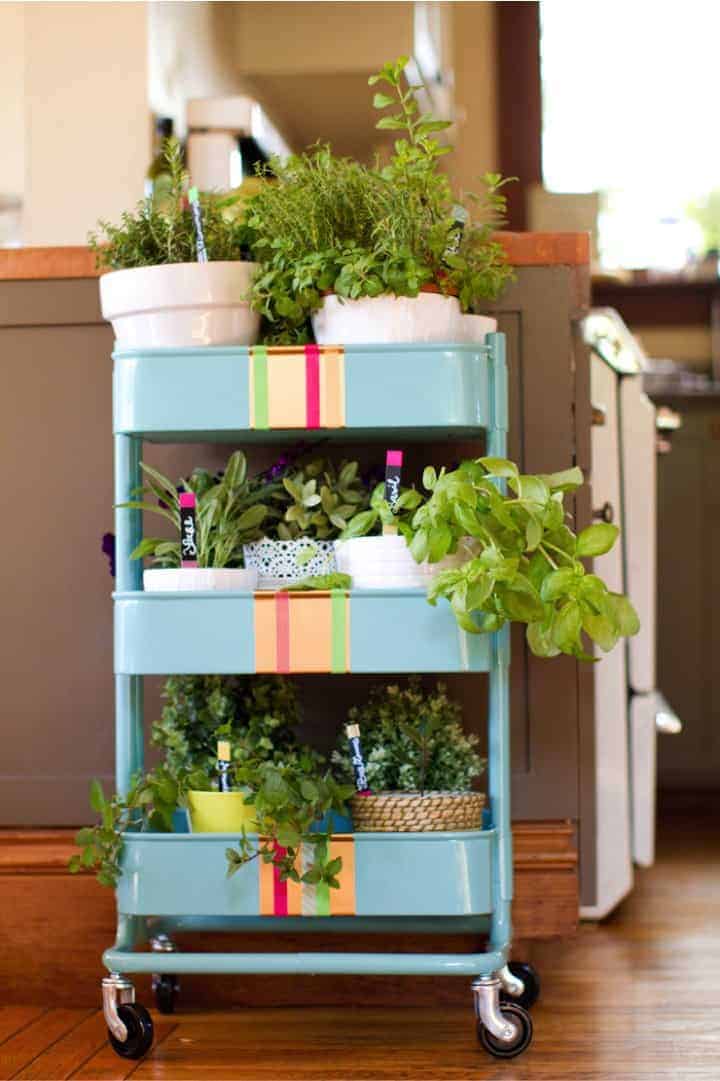 Best Herb Garden Ideas Outdoor and Indoor