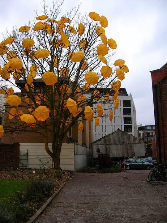 Umbrella's Tree by Sam Spencer 24 - Urban Gardens & Agriculture