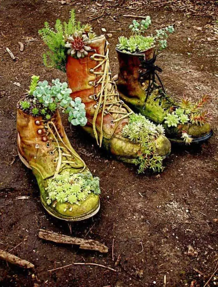 Succulent Boots 1 - Garden Decor