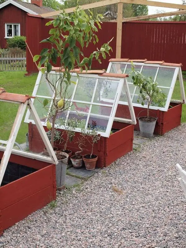 Greenhouses from Repurposed Windows 24 - pots