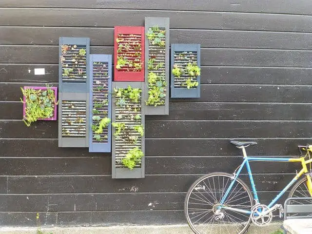 Vertical Garden Using Repurposed Shutters 8 - Flowers & Plants