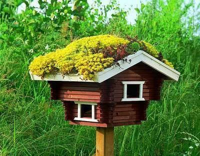 Green Roof Birdhouse 26 - Bird Feeders & Houses