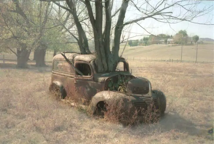 Tree Growing through an Old Dodge Truck 13 - Urban Gardens & Agriculture