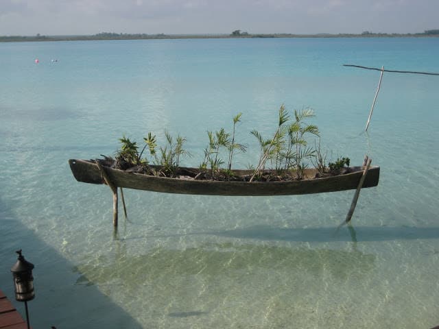 Boat Planter 9 - planterideas