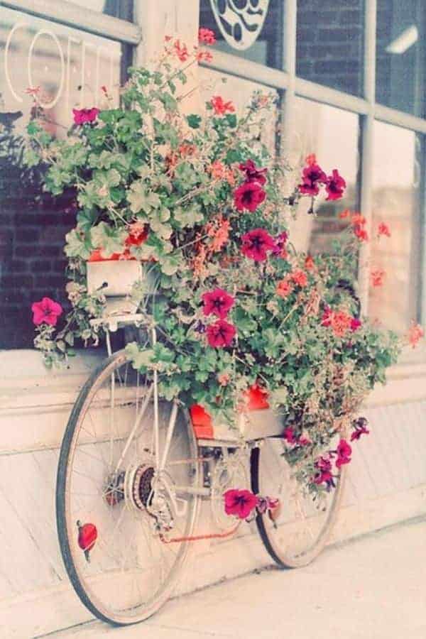 Turn Your Old Bike into an Original Garden Decoration 1 - Garden Decor