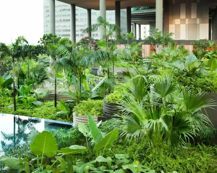 Sky Gardens Landscape in Singapore Hotel 2 - Landscape & Backyard Ideas - 1001 Gardens parkroyal-on-pickering-hotel-singapore-skygardens-by-woha-5