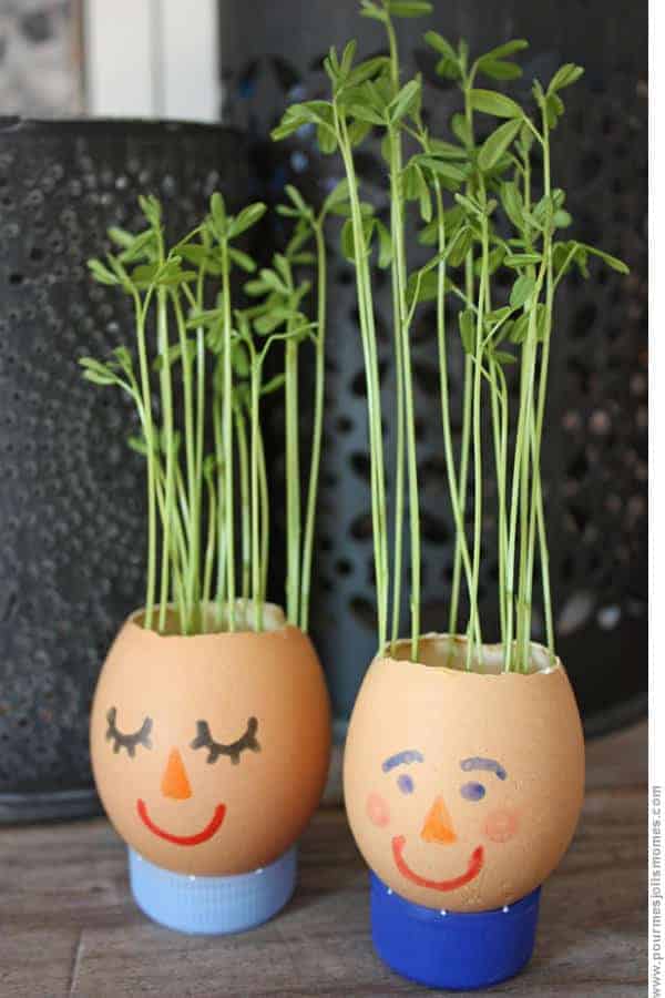 Diy: Eggshell Planter 1 - Flowers & Plants