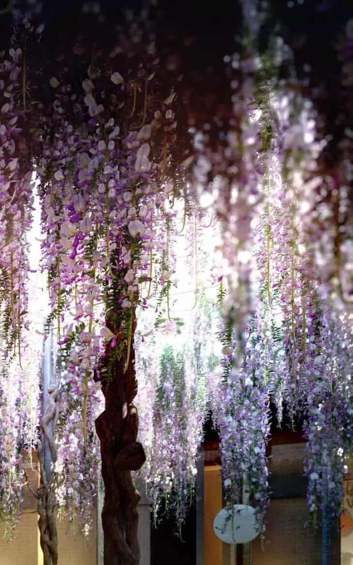 Wisteria Flowered Patio 5 - Outdoor Lighting