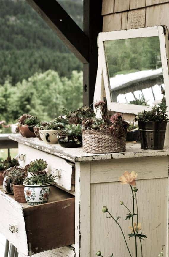 Diy: Recycled Garden Dresser 4 - Flowers & Plants