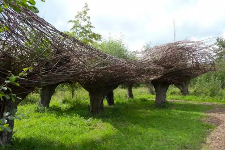 Will-Beckers-Natural-Willow-Sculptures-51