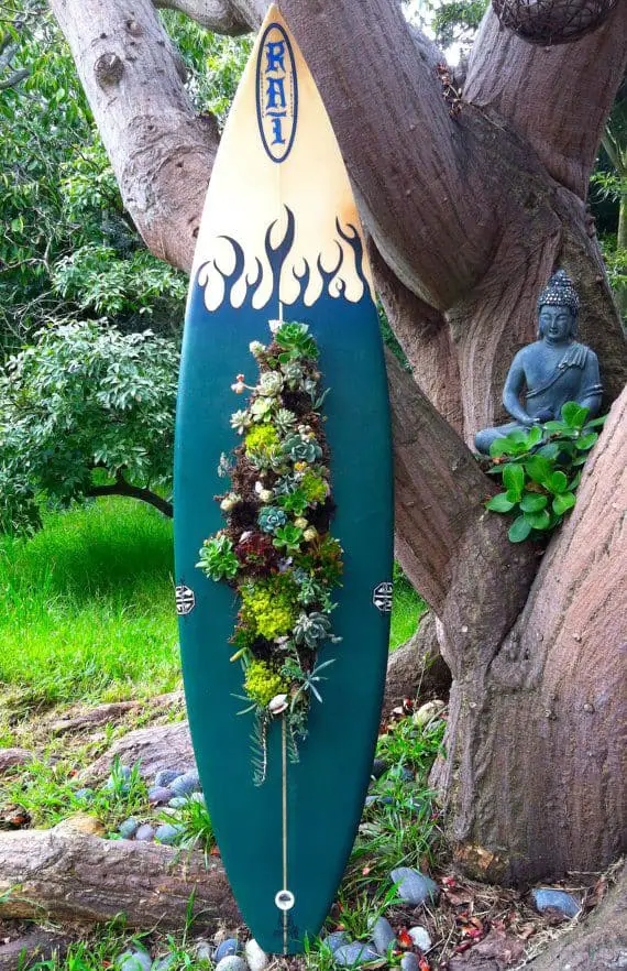 Surfboard as Succulent Planter 1 - Flowers & Plants