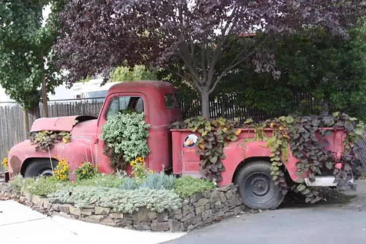 Vintage Truck Planter 47 - Flowers & Plants