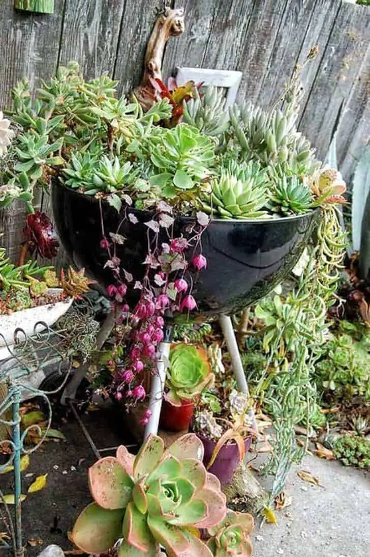 Bbq to Planter 45 - Fire Pits & Grills