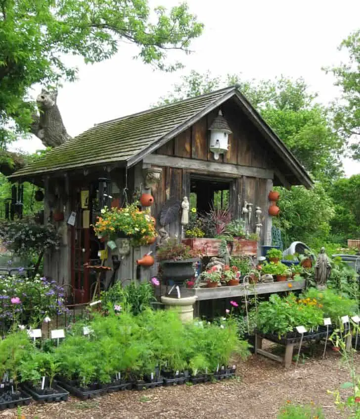 Old Garden Shed 18 - vintagegarden