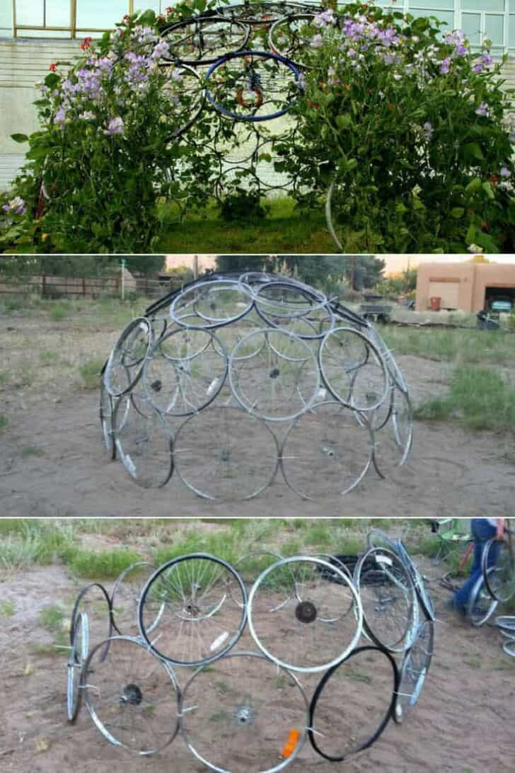 Bicycle Rim Vertical Gardening Dome