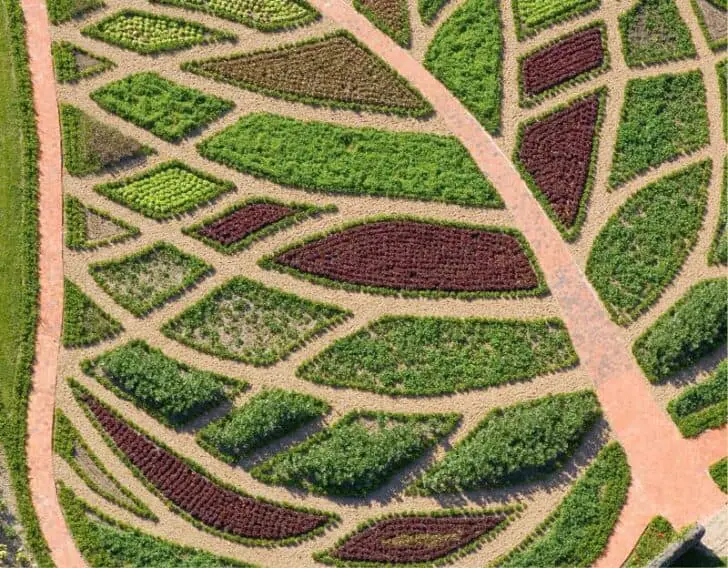 Design Garden Landscape of Abundance of La Chatonnière Landscapes Potager_abondance13