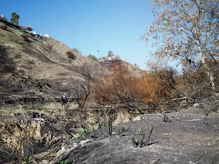 burnt-areas