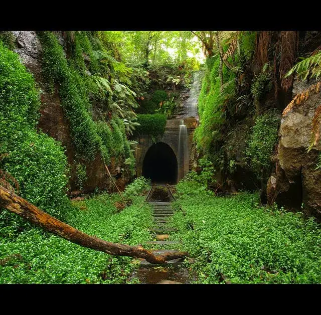 tunnel abandoned train helensburgh australia landscape gardens 1001gardens 1001