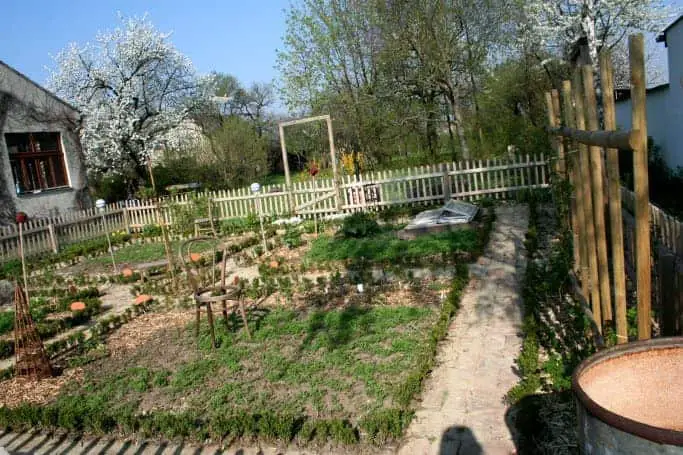 Nice Kitchen Garden in Austria