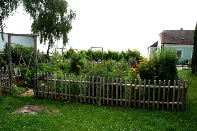 Nice Kitchen Garden in Austria