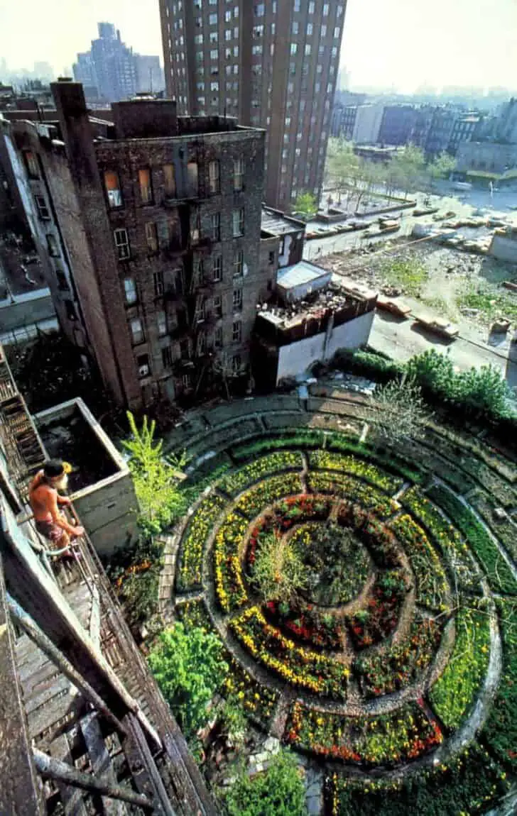Urban Garden Mandala Landscape 1 - Landscape & Backyard Ideas