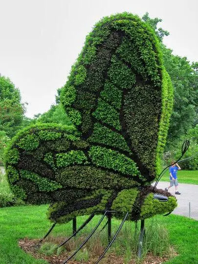 topiary1