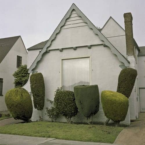 topiary12