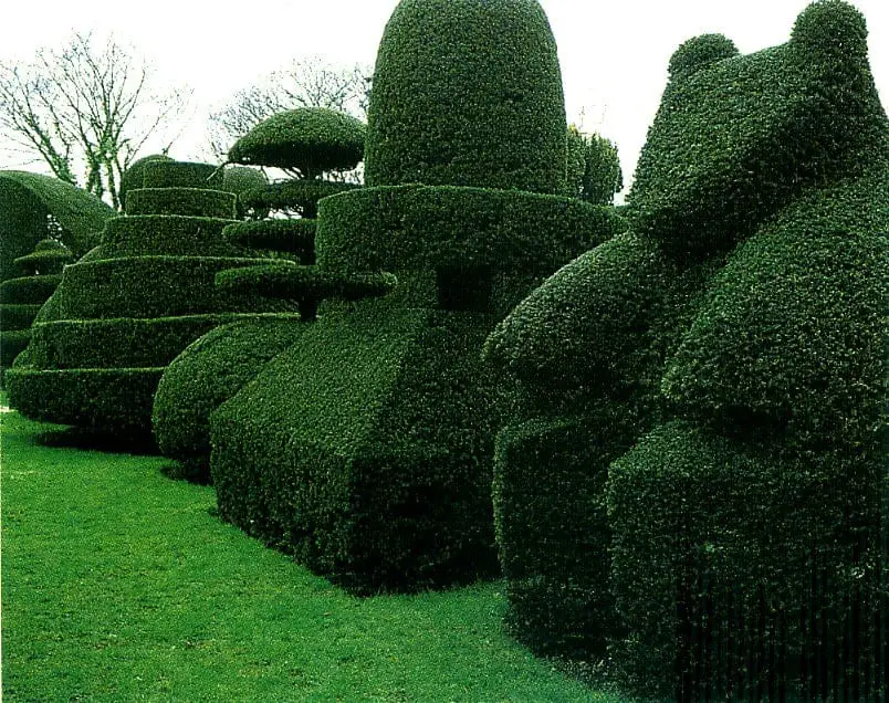 Top 20 Sculptural Topiaries 1001 Gardens