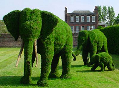 topiary2