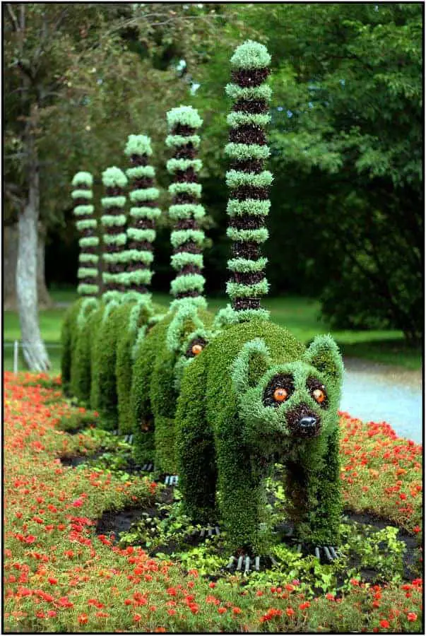 Top 20 Sculptural Topiaries 20 - Garden Decor