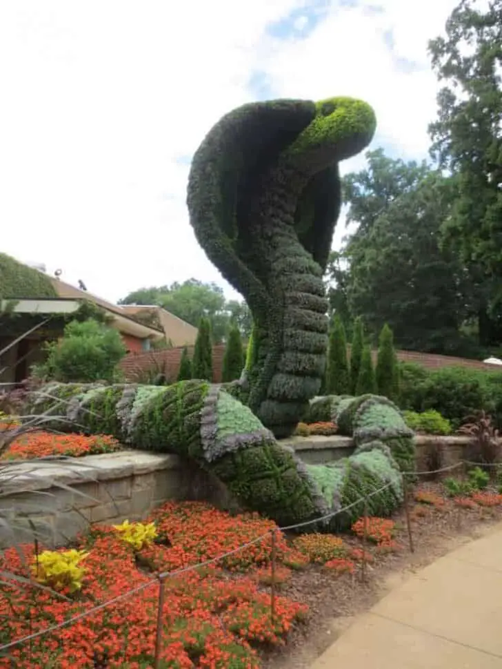 topiary5