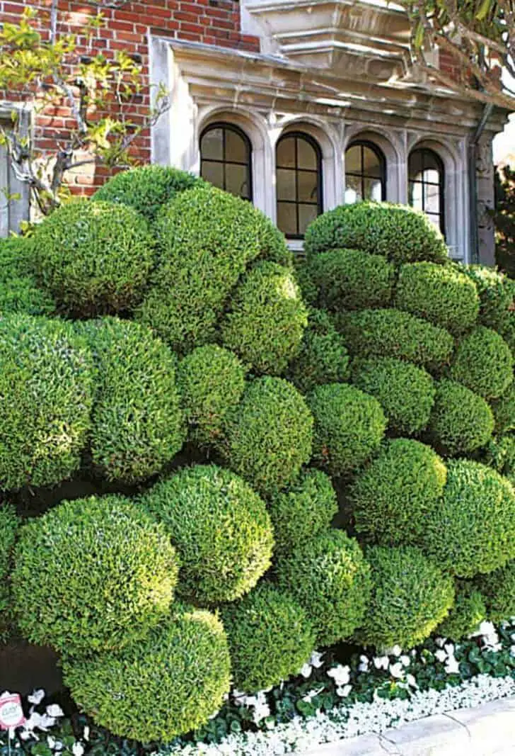 Top 20 Sculptural Topiaries 14 - Garden Decor