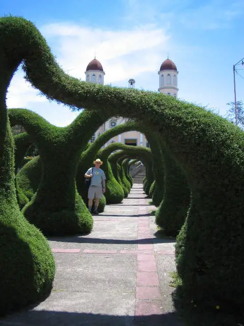Top 20 Sculptural Topiaries - 1001 Gardens
