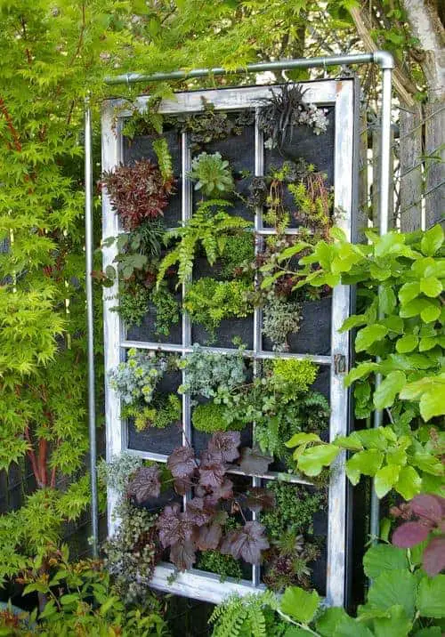 Hanging garden panel in vintage window frame, Portland, OR