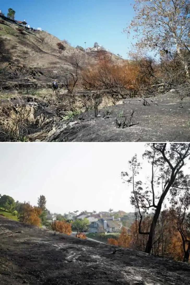 Burnt Areas Landscapes