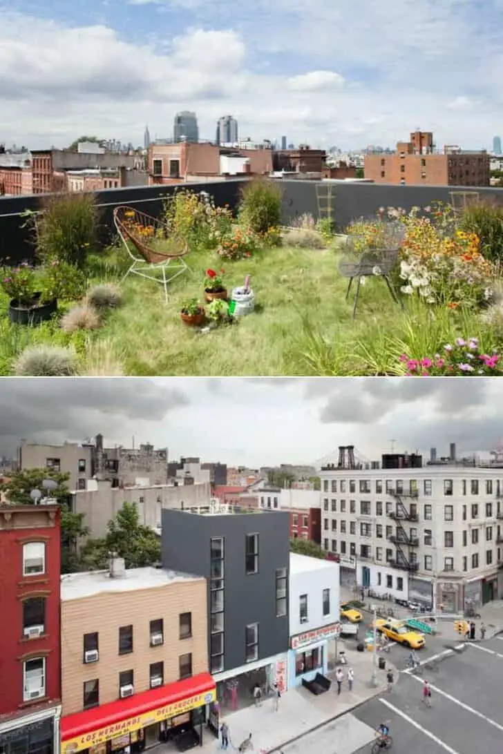 Flowered Rooftop Garden Landscape in Brooklyn