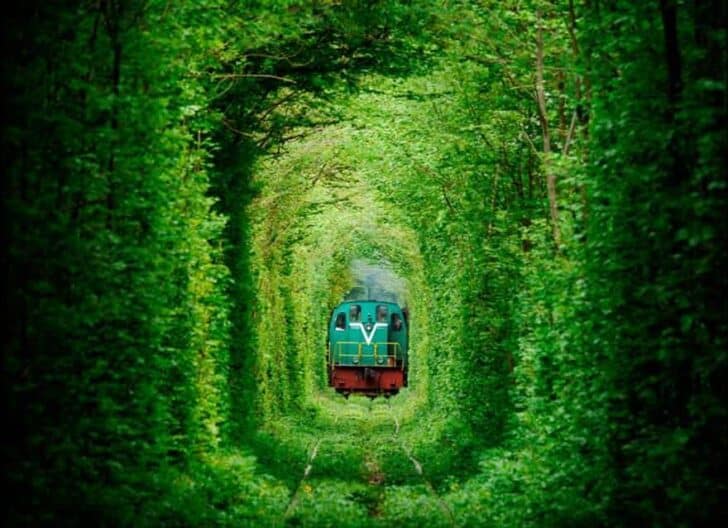 20 Amazing Beautiful Tree Tunnels Landscapes 10 - Landscape & Backyard Ideas - 1001 Gardens amazing-tree-tunnels-2-2