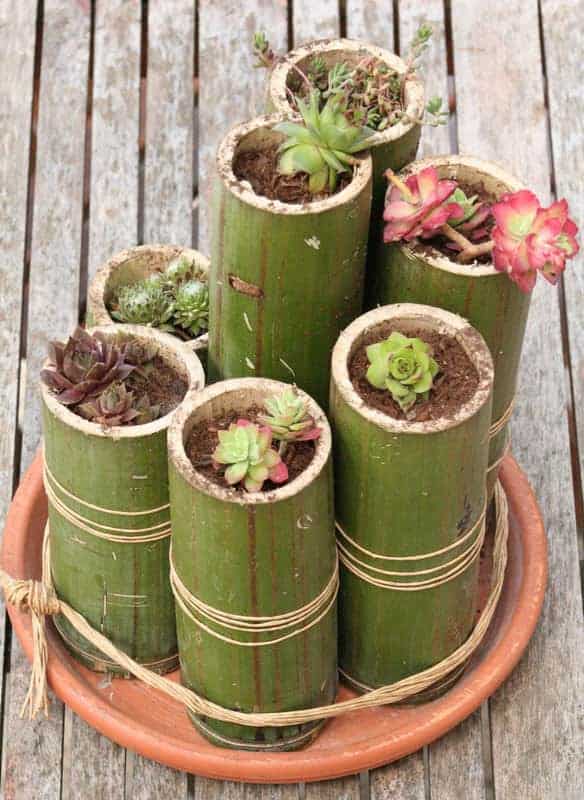 Diy Bamboo Planters