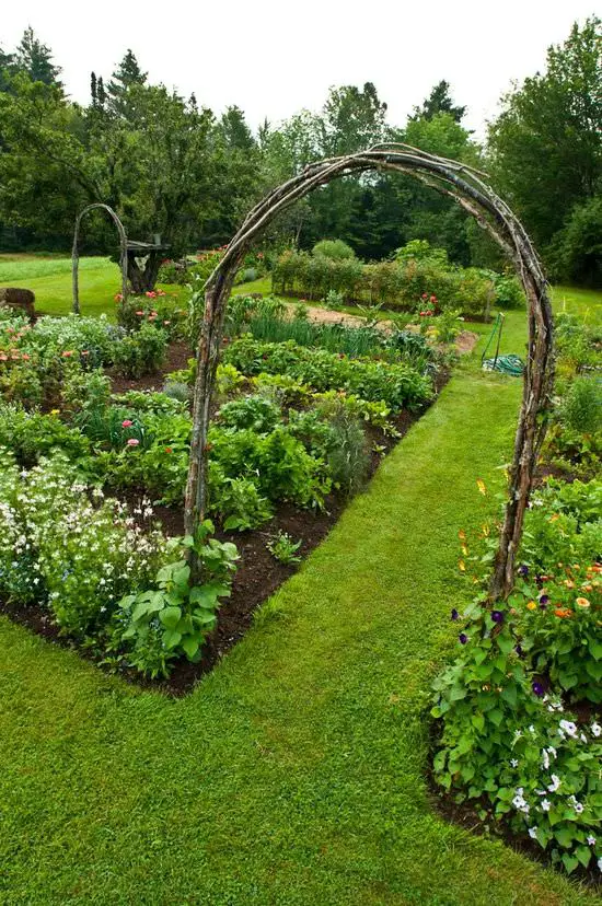 Ornamental Kitchen Garden 5 - Flowers & Plants