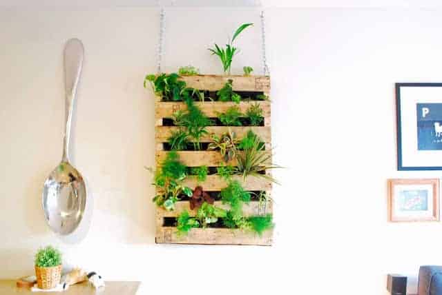 Diy Pallet Living Wall 15 - Urban Gardens & Agriculture