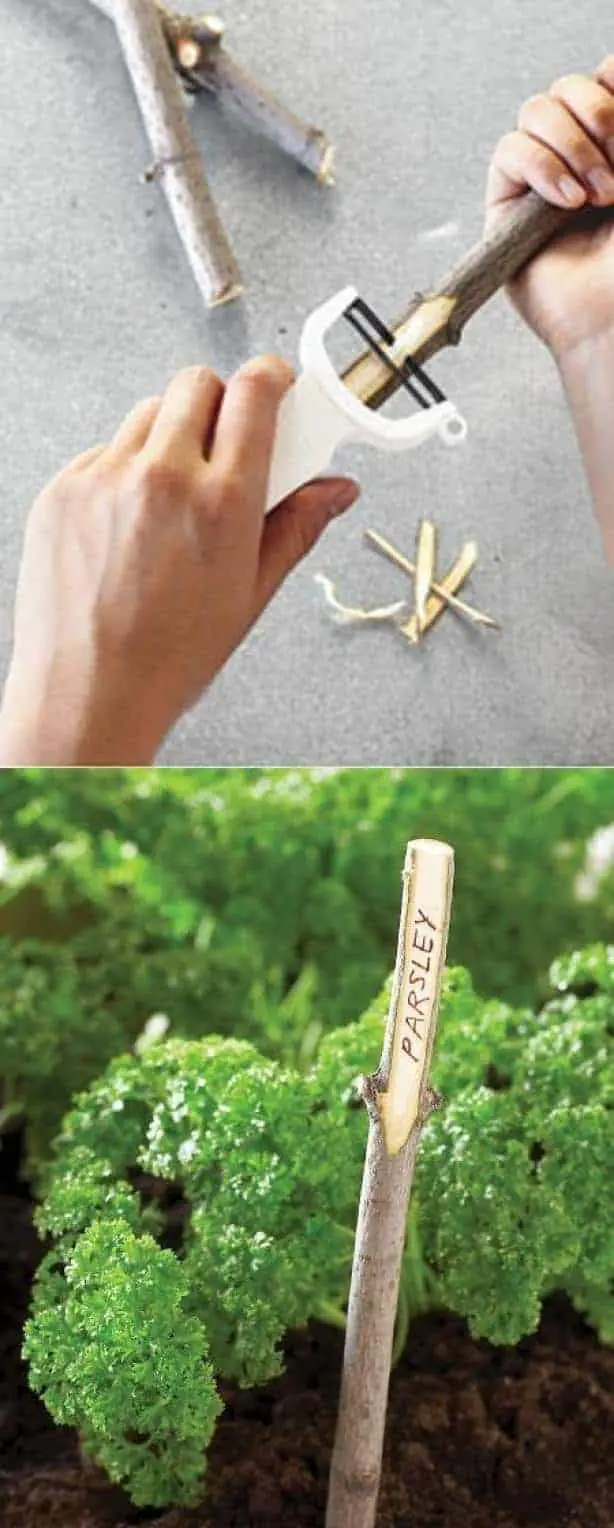 Diy: Garden Plant Markers 13 - Landscape & Backyard Ideas