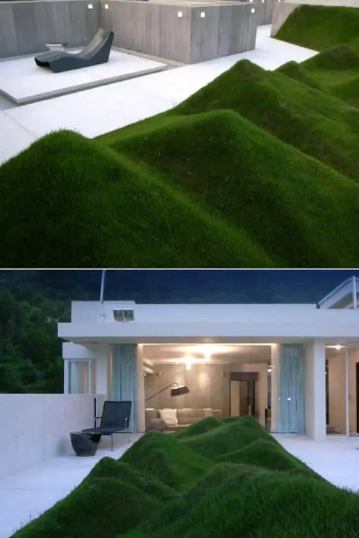 Undulating Lawn on the Terrace